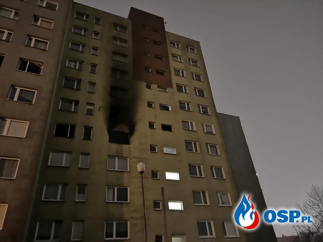 Trzy osoby zginęły w pożarze mieszkania. Tragedia w Opolu. OSP Ochotnicza Straż Pożarna