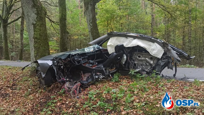 Audi dosłownie rozpadło się po uderzeniu w drzewa. Kierowca zginął na miejscu. OSP Ochotnicza Straż Pożarna