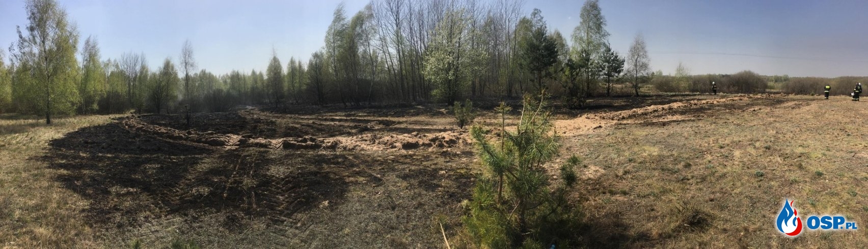 Pożar lasu w Nowym Garwarzu OSP Ochotnicza Straż Pożarna