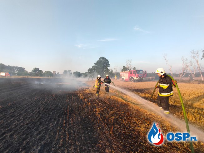 150/2021 Pożar pola w Młynarach OSP Ochotnicza Straż Pożarna