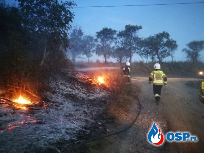Pożar traw i zarośli OSP Ochotnicza Straż Pożarna