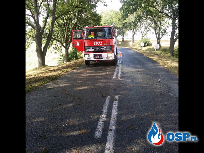 Wypadek przed miejscowością Biała OSP Ochotnicza Straż Pożarna