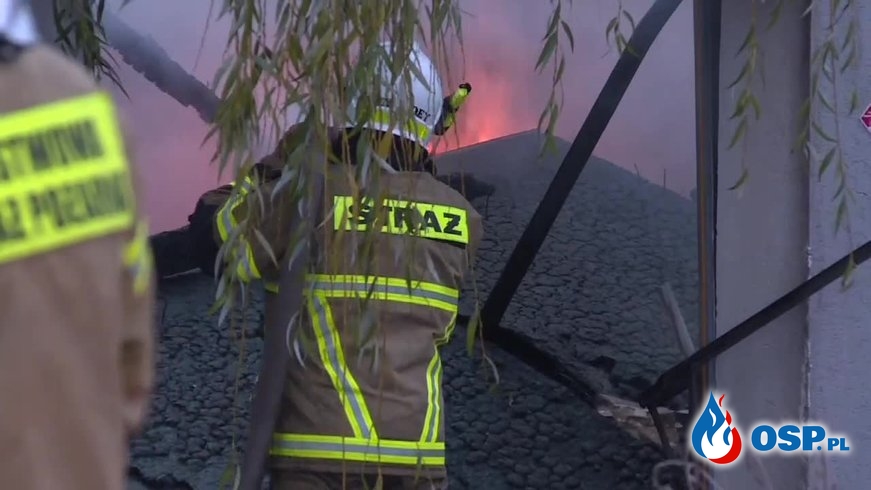 Pożar hali w Zielonej Górze. 20 zastępów strażaków w akcji gaśniczej. OSP Ochotnicza Straż Pożarna