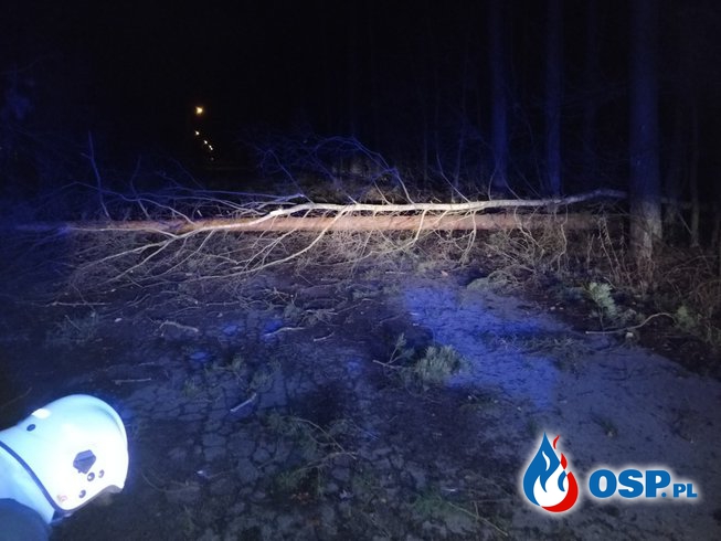 Nocna wichura nad Powiatem Chrzanowskim OSP Ochotnicza Straż Pożarna