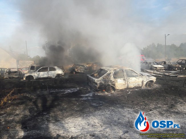 Ponad 20 samochodów spłonęło w województwie lubuskim! OSP Ochotnicza Straż Pożarna