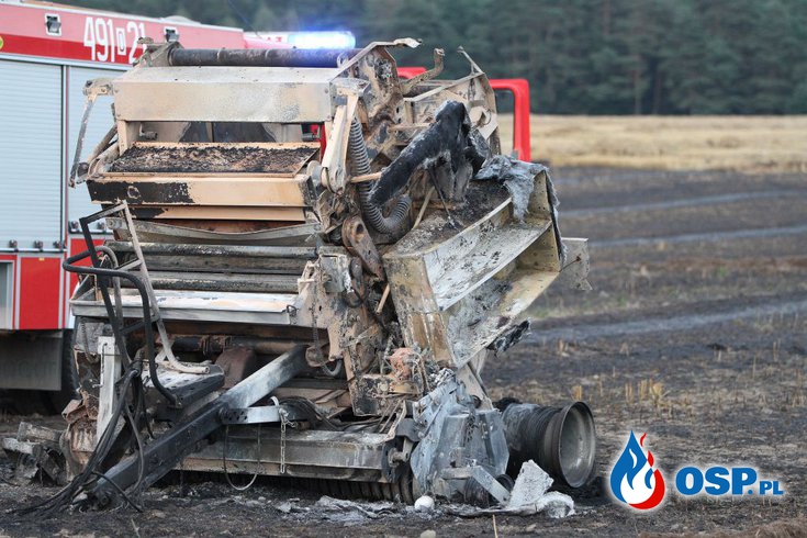 Pożar ścierniska - spłonęło 25 hektarów, w akcji 11 zastępów OSP Ochotnicza Straż Pożarna