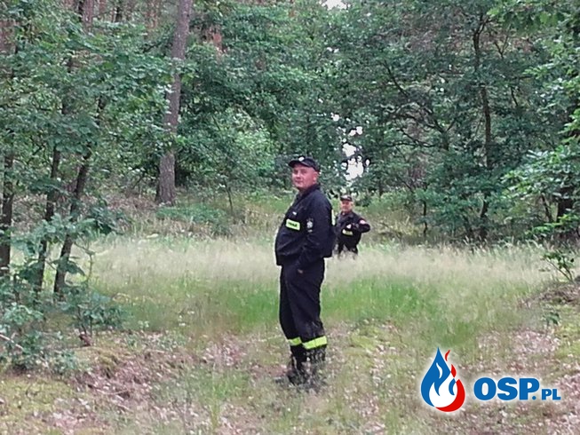 Poszukiwania zaginionego mieszkańca Ognicy. OSP Ochotnicza Straż Pożarna