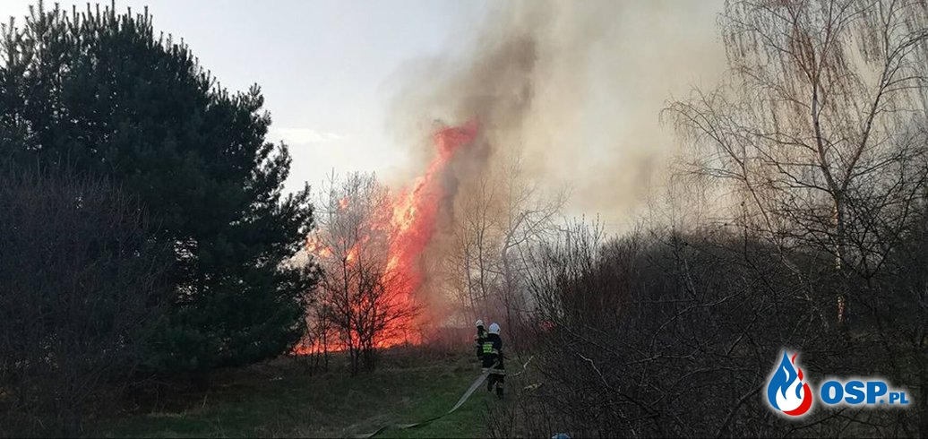 Trzy pożary jednego dnia - Jankowice, Żarki, Mętków OSP Ochotnicza Straż Pożarna