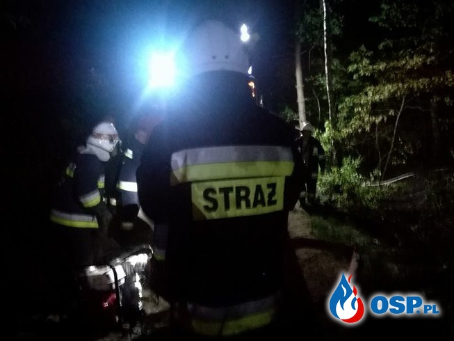 Pożar lasu, kilka gorących godzin. (11.05.2018r.) OSP Ochotnicza Straż Pożarna
