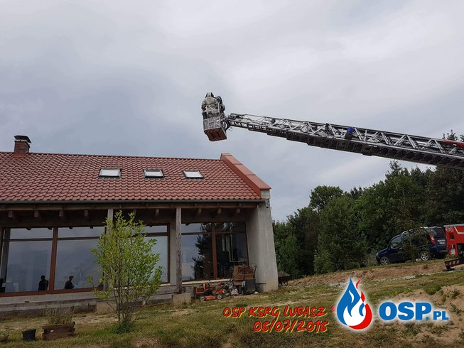 Owady błonkoskrzydłe w budynku mieszkalnym OSP Ochotnicza Straż Pożarna