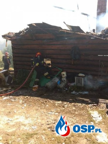 Drewniany dom doszczętnie spłonął. Strażacy wynieśli z niego butle z gazem. OSP Ochotnicza Straż Pożarna