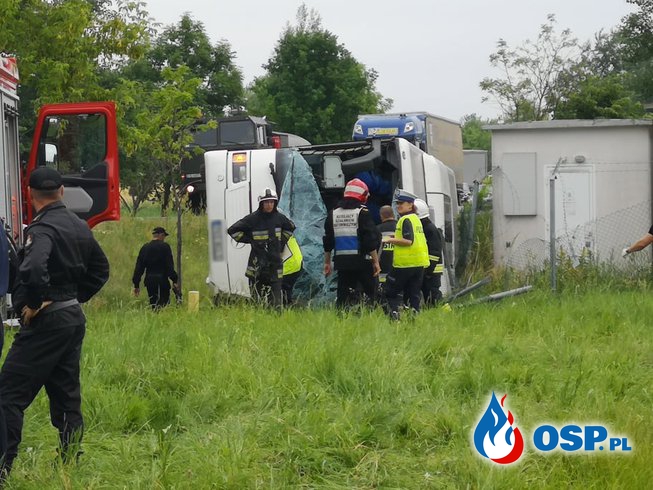 Wypadek w drodze do ZOO. Autobus z dziećmi wjechał do rowu. OSP Ochotnicza Straż Pożarna