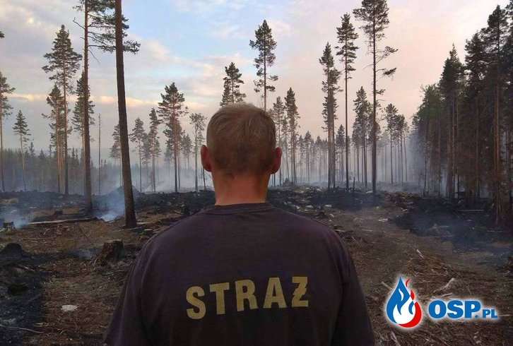 Strażacy pokazali nowe zdjęcia ze Szwecji. "Wszyscy nasi ratownicy są zdrowi". OSP Ochotnicza Straż Pożarna