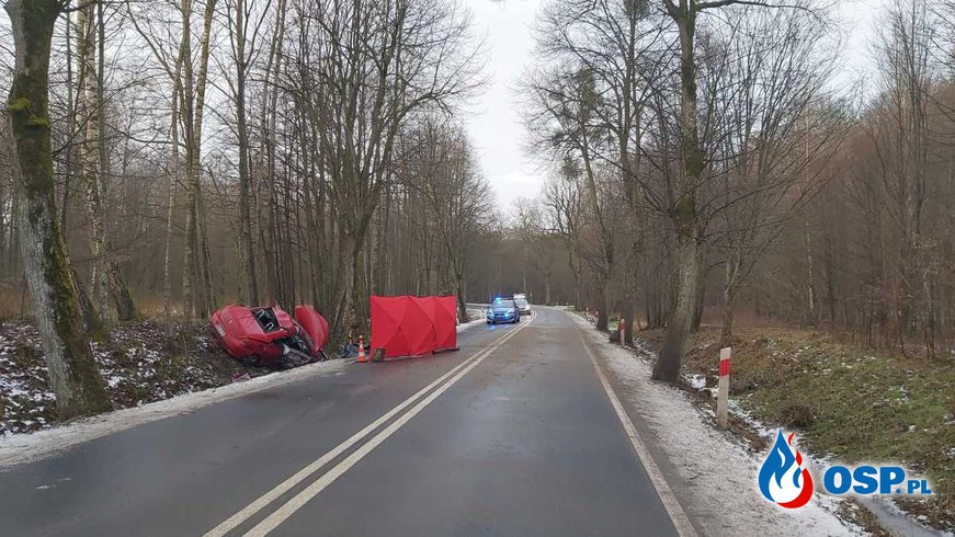17-latek i 22-latek zginęli w wypadku. Auto rozbiło się na drzewie. OSP Ochotnicza Straż Pożarna