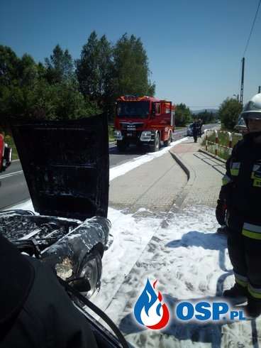 Pożar samochodu osobowego na DW 955 - 11 czerwca 2019r. OSP Ochotnicza Straż Pożarna