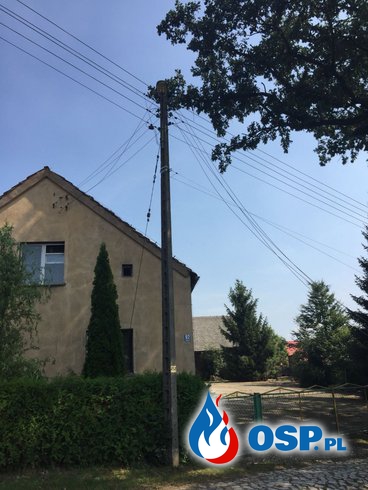 Oberwany konar drzewa na linii elektrycznej pod napięciem w Prężynie OSP Ochotnicza Straż Pożarna