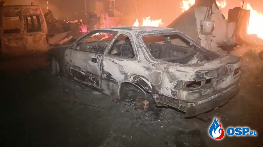 Spłonęły dziesiątki domów i samochodów. Pożary lasów pustoszą Kalifornię. OSP Ochotnicza Straż Pożarna