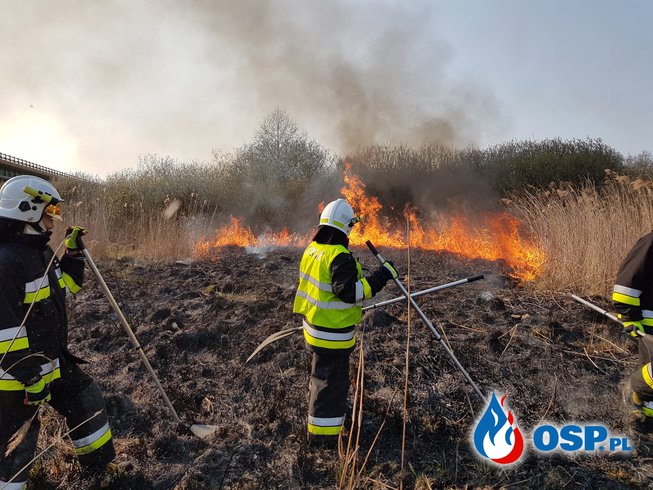 Pożar traw w miejscowości Łysaków OSP Ochotnicza Straż Pożarna
