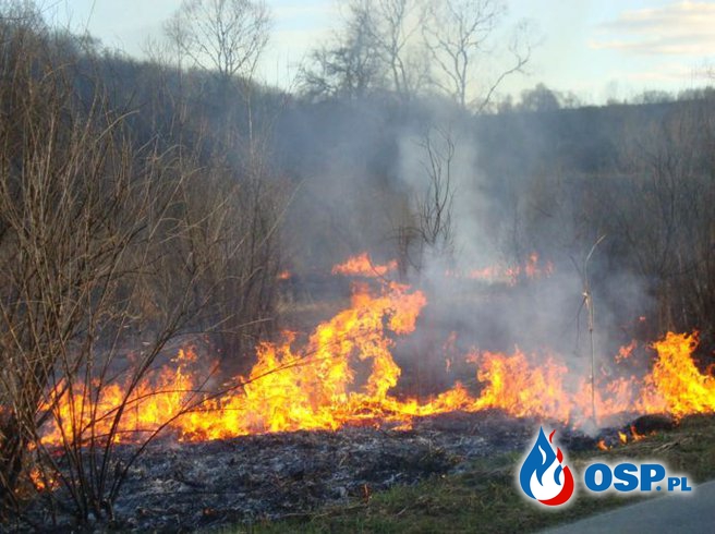 Niebezpieczny pożar trawy na terenie Gminy Solina OSP Ochotnicza Straż Pożarna