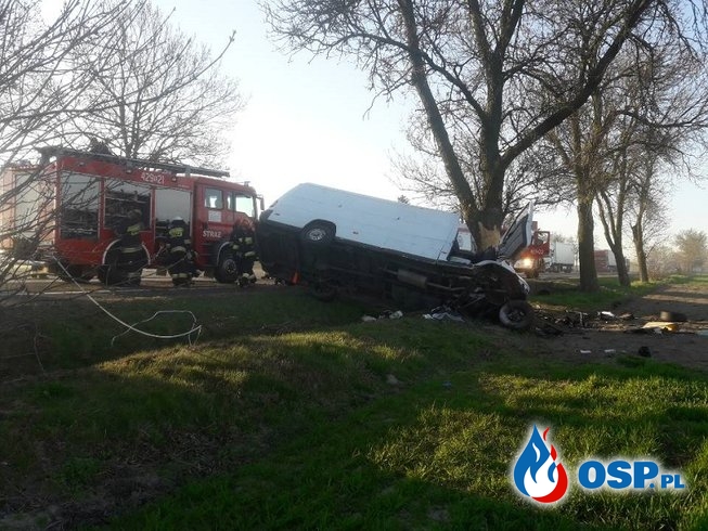 Dwie osoby zginęły pod Łodzią. Auto dostawcze uderzyło w drzewo. OSP Ochotnicza Straż Pożarna