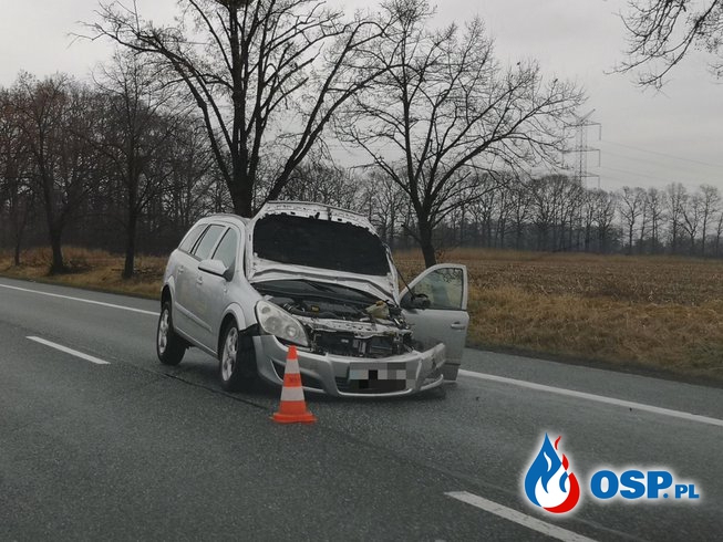 Groźna czołówka pod Opolem. Jeden z kierowców prawdopodobnie zasnął. OSP Ochotnicza Straż Pożarna
