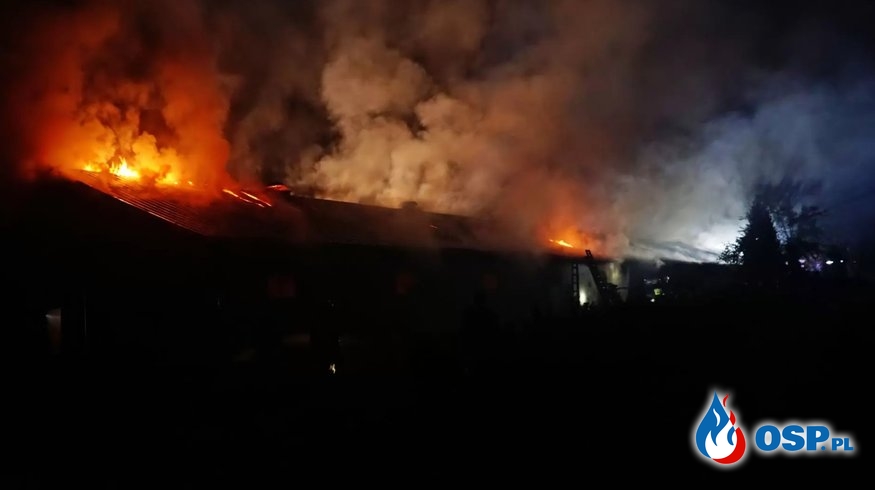 Ponad 10 tys. kurcząt spłonęło w pożarze pod Puławami OSP Ochotnicza Straż Pożarna
