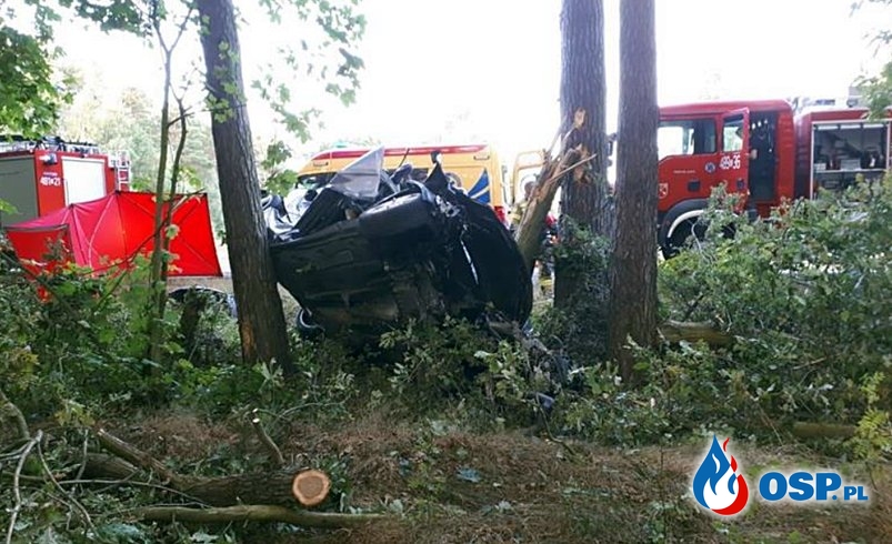 4 młode osoby zginęły w makabrycznym wypadku pod Strzelnem OSP Ochotnicza Straż Pożarna