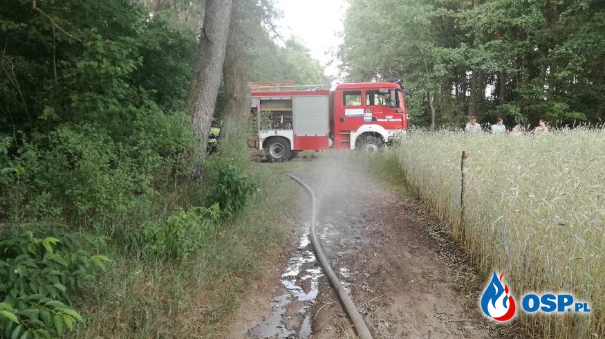 Kolejny Pożar lasu Modzele - Bartłomieje OSP Ochotnicza Straż Pożarna