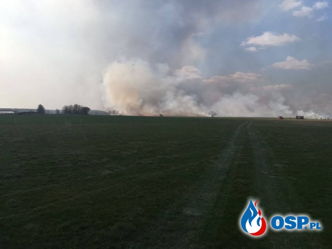 Płonie Biebrzański Park Narodowy. Ruszyła zbiórka na doposażenie OSP. OSP Ochotnicza Straż Pożarna