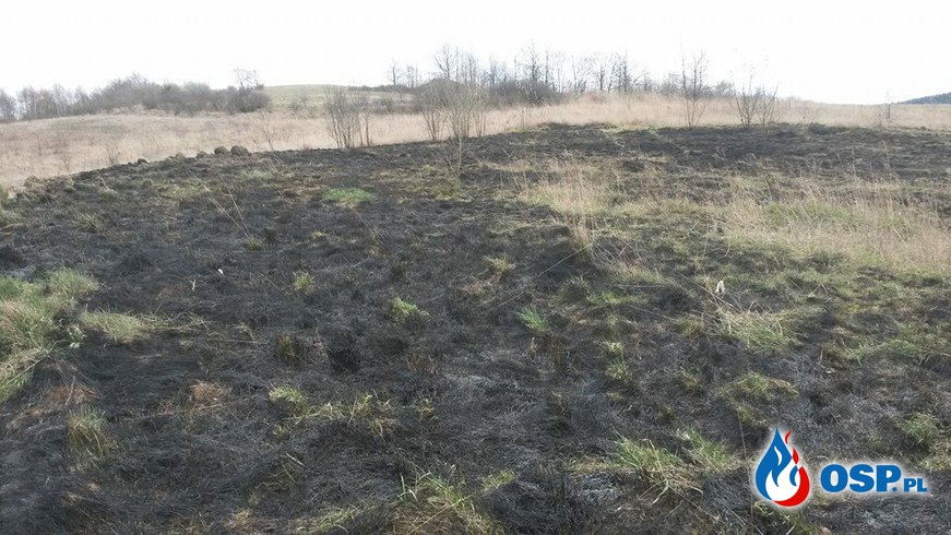 Pożar suchej trawy OSP Ochotnicza Straż Pożarna