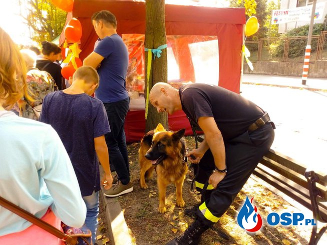 Zespoły z psami z wizytą w Gubinie OSP Ochotnicza Straż Pożarna