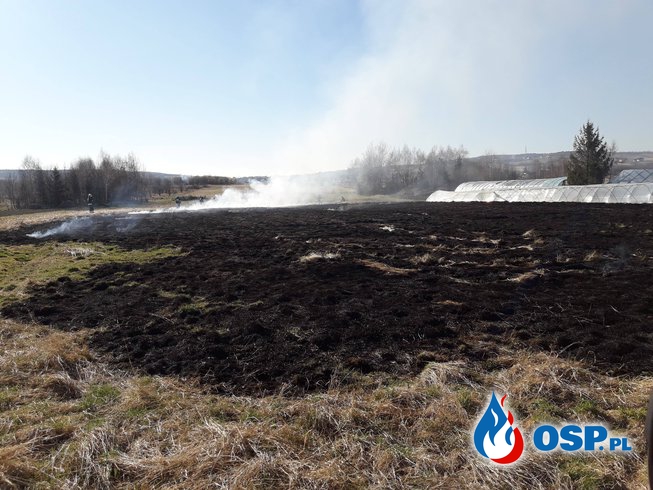 Pożar traw przy ul. Łukasiewicza OSP Ochotnicza Straż Pożarna