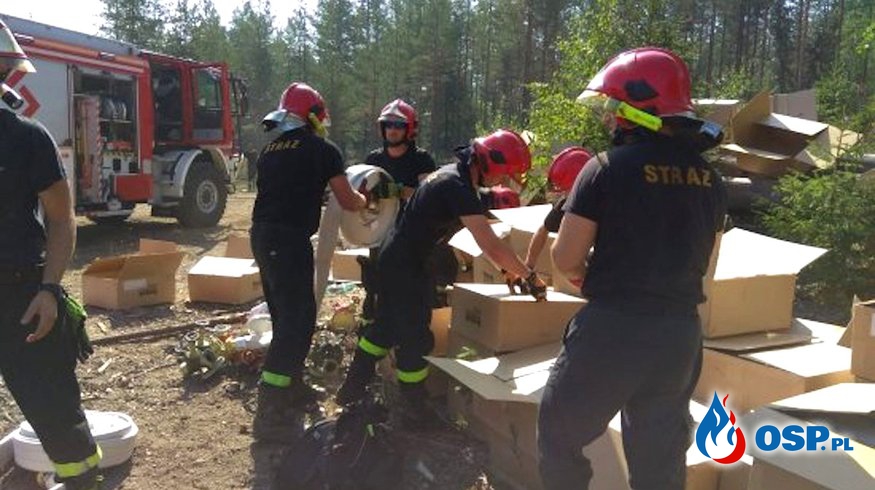 Polscy strażacy w Szwecji budują linię obrony. Chcą zamknąć ogień w wyznaczonej strefie. OSP Ochotnicza Straż Pożarna