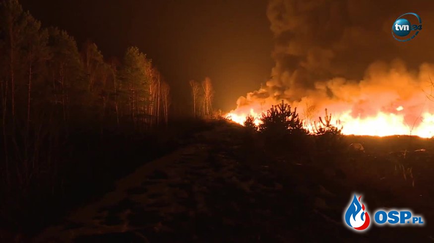 Pożar składowiska śmieci przy lesie. W akcji 30 zastępów straży pożarnej! OSP Ochotnicza Straż Pożarna