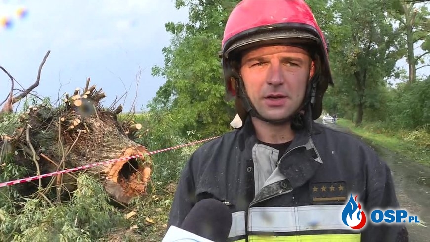 Drzewo zatarasowało dojazd strażakom. Nawałnice nad Wielkopolską. OSP Ochotnicza Straż Pożarna