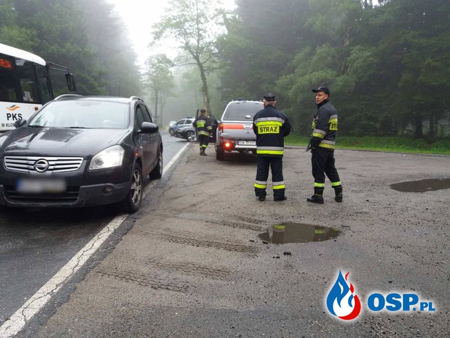 Plama oleju i kolizja na Drodze Stu Zakrętów (DW387) ! OSP Ochotnicza Straż Pożarna