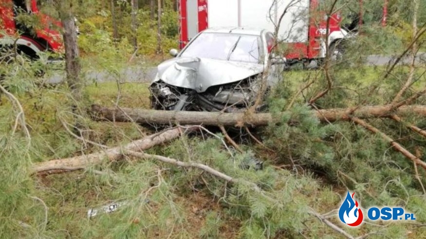 Wronki – samochód uderzył w drzewo OSP Ochotnicza Straż Pożarna
