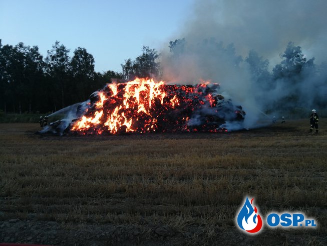 Pożar balotów tuż przy lesie i DW nr. 124 OSP Ochotnicza Straż Pożarna