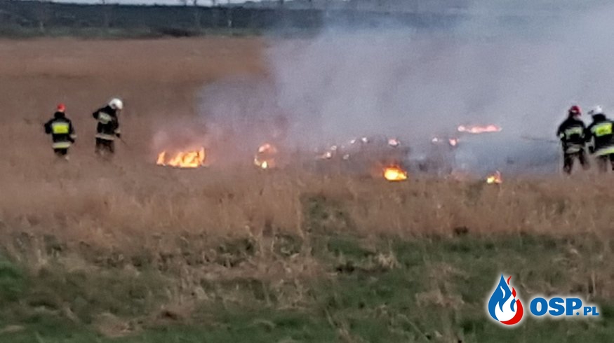 Pożar nieużytków w okolicy miejscowości Sadlno (gm. Trzebiatów) OSP Ochotnicza Straż Pożarna