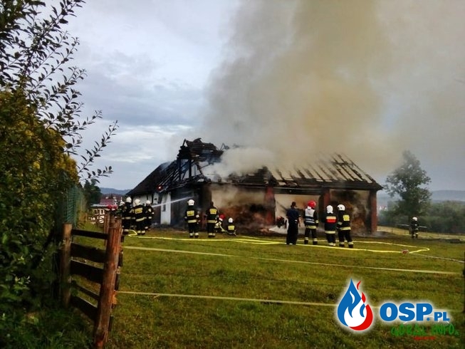 Groźny pożar gospodarstwa na Podhalu. Udało się uratować zwierzęta. OSP Ochotnicza Straż Pożarna