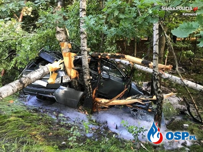 BMW roztrzaskało się na drzewie. Kierowca cudem przeżył. OSP Ochotnicza Straż Pożarna