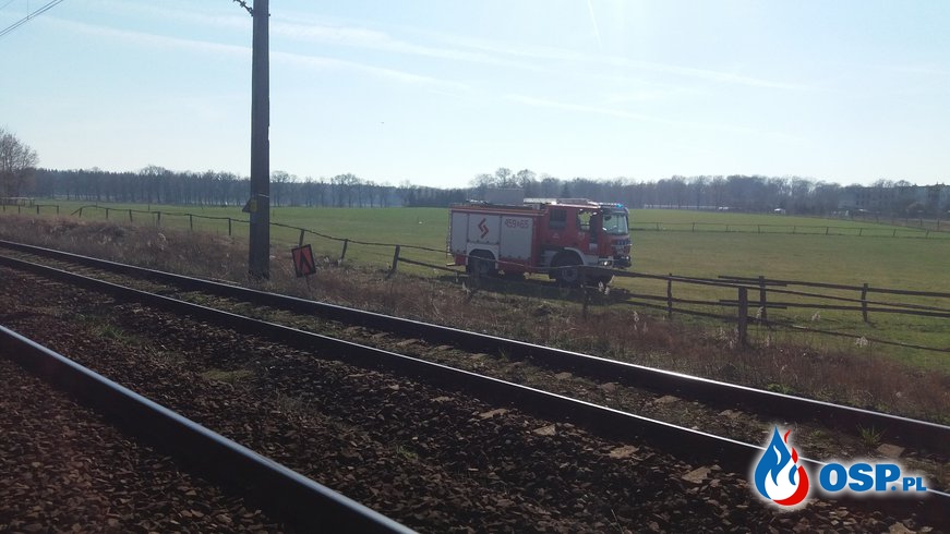 Pożar trzciny i trawy przy nasypie kolejowym OSP Ochotnicza Straż Pożarna