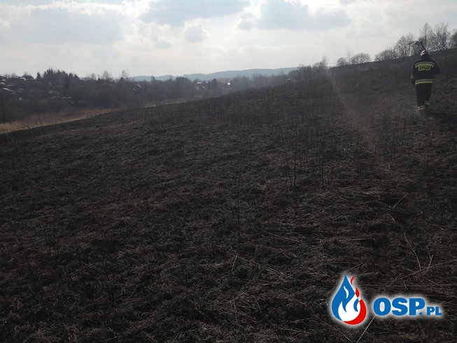Kolejny pożar suchej trawy w tym miesiącu OSP Ochotnicza Straż Pożarna