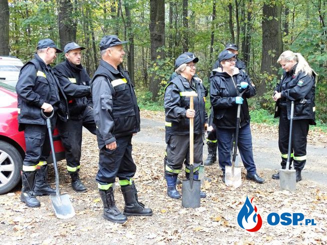 Druhowie zasadzili 100 drzew na 100. rocznicę odzyskania niepodległości OSP Ochotnicza Straż Pożarna