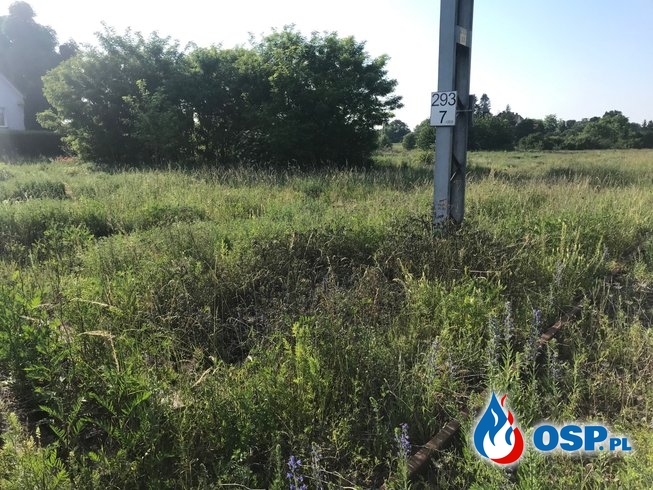 78/2019 Pożar trawy przy torach kolejowych OSP Ochotnicza Straż Pożarna