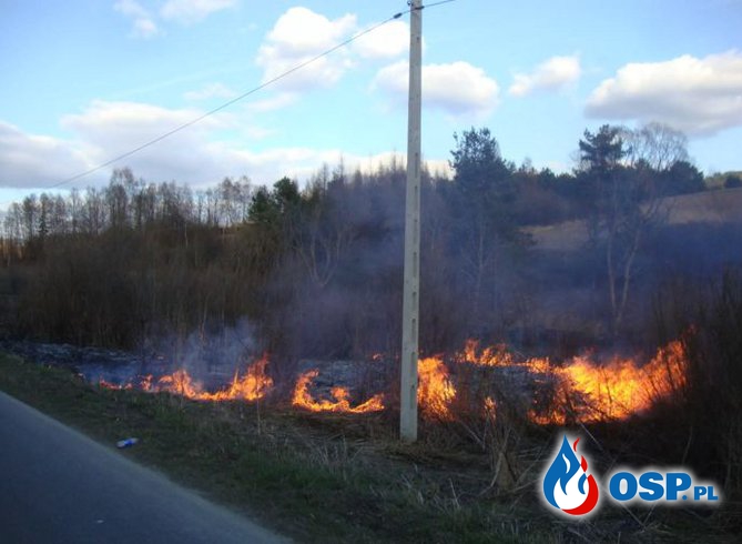 Niebezpieczny pożar trawy na terenie Gminy Solina OSP Ochotnicza Straż Pożarna