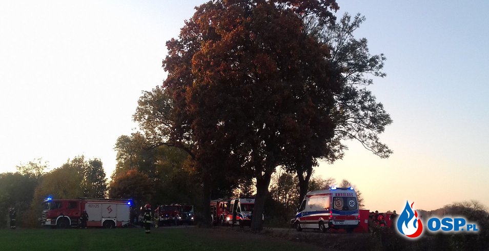 Passat rozbił się na drzewie. W akcji LPR. Dwóch mężczyzn nie udało się uratować. OSP Ochotnicza Straż Pożarna