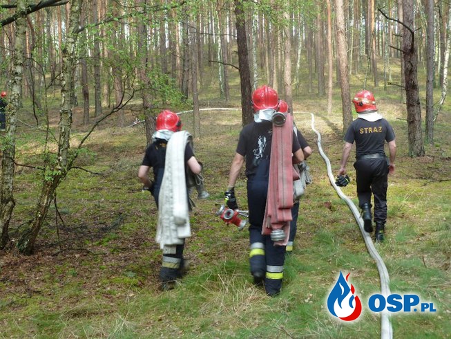 Były dowódca GFFFV WLKP: W Polsce strażacy ćwiczą scenariusze takie, jak w Szwecji. OSP Ochotnicza Straż Pożarna