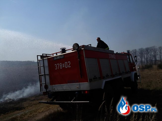 Pożar suchych traw. OSP Ochotnicza Straż Pożarna