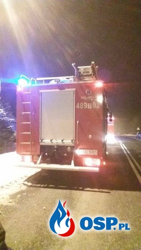 Pożar Sadz w miejscowości Pięty. OSP Ochotnicza Straż Pożarna